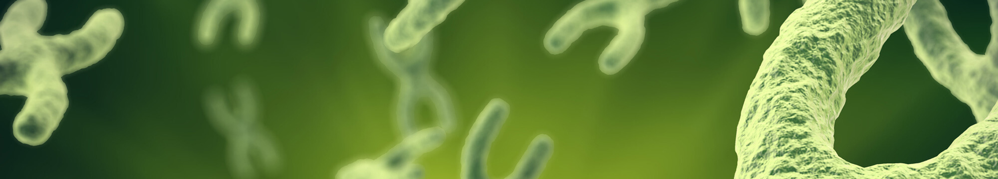 PRP - Stem Cell Therapy Treat - OrthoOne Sports Medicine
